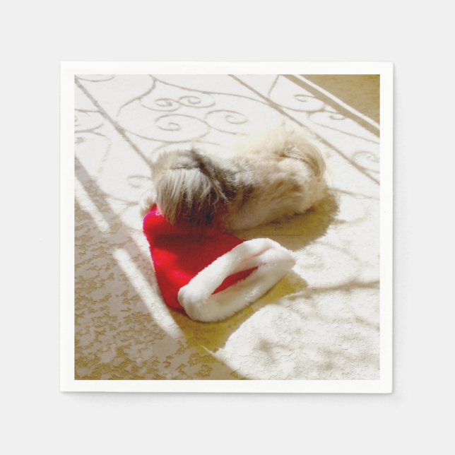 Captured Santa Napkin (Front)