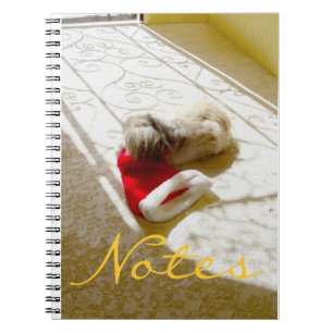 Captured Santa Notebook