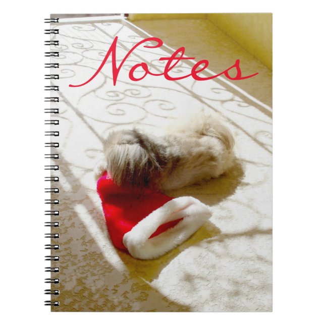 Captured Santa Spiral Notebook (Front)