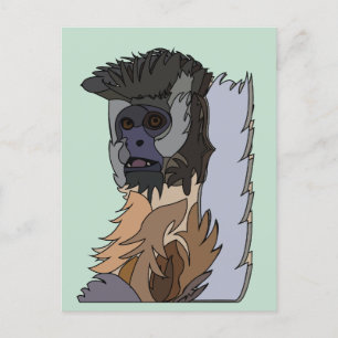 Capuchin Monkey Postcard