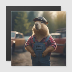 Capy The Mechanic Auto Repairs, 