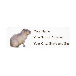 Capybara
