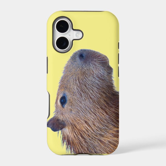 Capybara (Back)