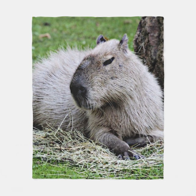 capybara 07 fleece blanket (Front)