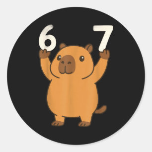 Capybara 67 Meme Six Seven Funny Classic Round Sticker