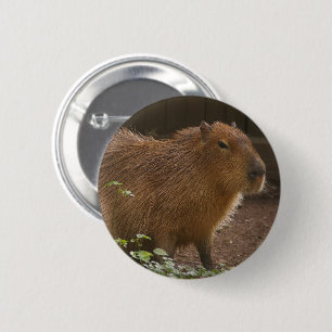 Capybara 6 Cm Round Badge