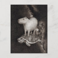 Capybara and Terrapin flying through space drawing