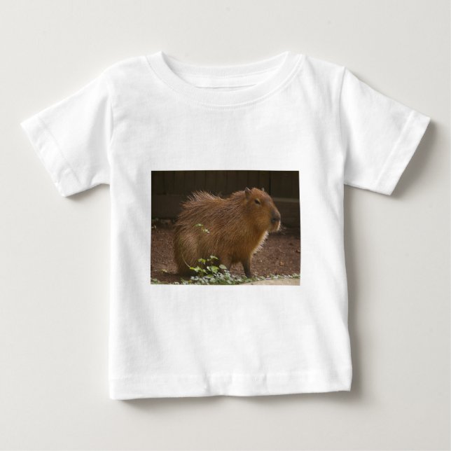 Capybara Baby T-Shirt (Front)