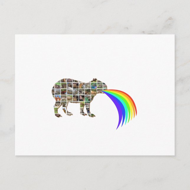 Capybara barfing a rainbow postcard (Front)