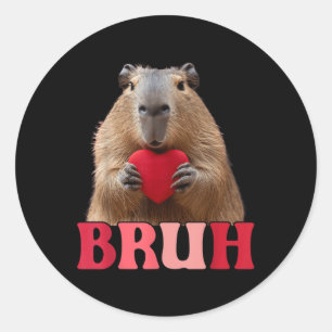 Capybara Bruh Meme Funny Saying Teens Boys Valenti Classic Round Sticker