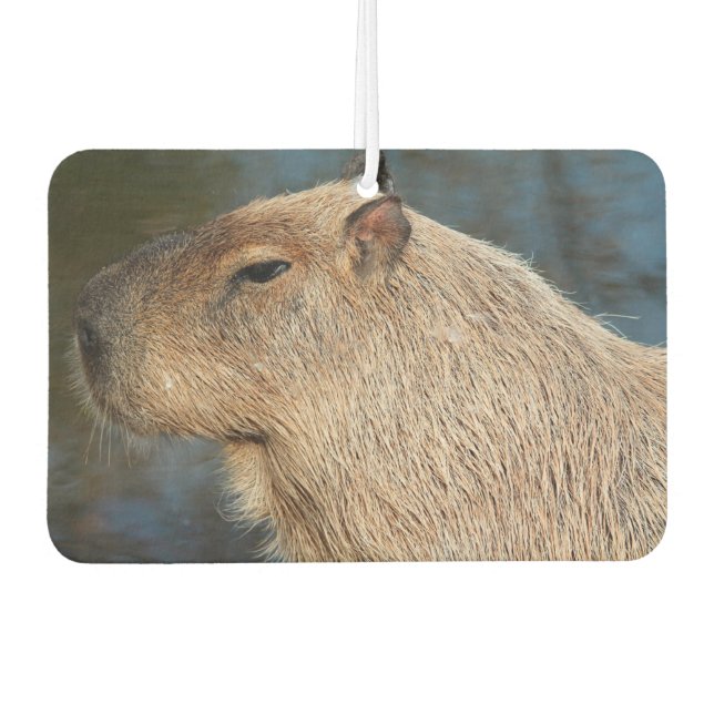 Capybara Car Air Freshener (Front)