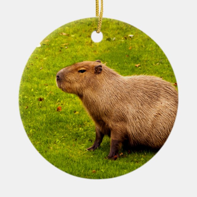 Capybara Ceramic Tree Decoration (Front)