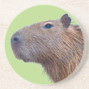 Capybara Coaster