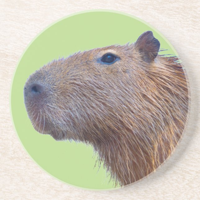 Capybara Coaster (Front)