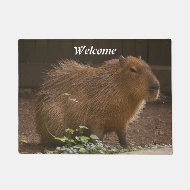 Capybara Doormat (Front)