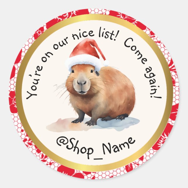 CAPYBARA: Elevate Your Packaging Game! 🚀 Classic Round Sticker (Front)