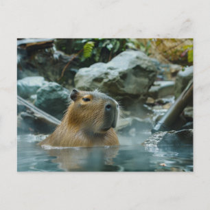 Capybara Enjoying Hot Spring Postcard