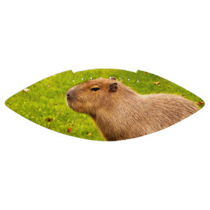 Capybara Football
