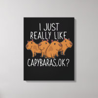 Capybara Gift Kids Women Cute Capybara