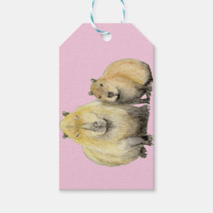 Capybara Gift Tags