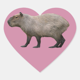Capybara Heart Sticker