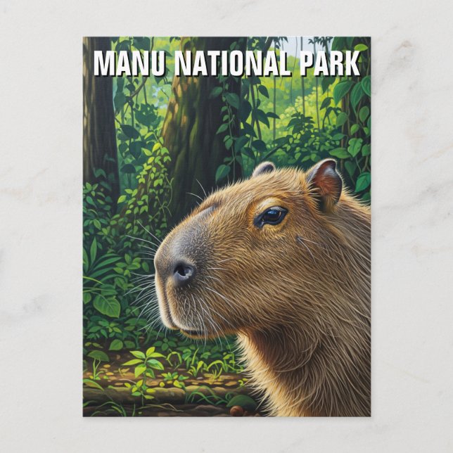 Capybara in Manu National Park Peru Postcard (Front)