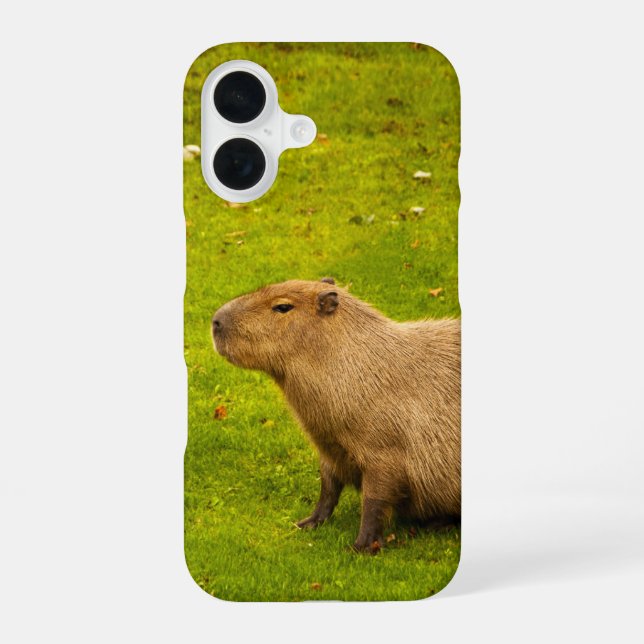 Capybara iPhone 16 Case (Back)
