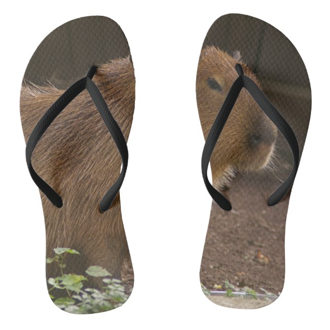 Capybara Jandals (Footbed)
