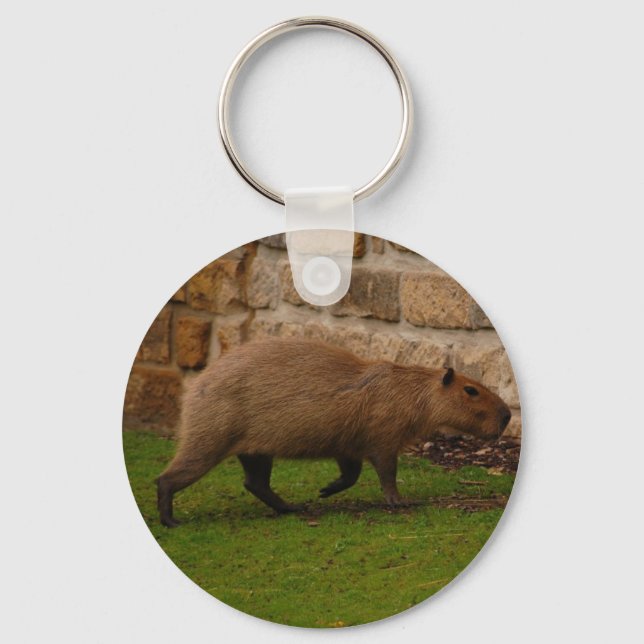capybara key ring (Front)