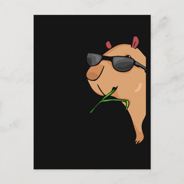 Capybara Lover Women Capybara Gift Men Capybara Postcard (Front)