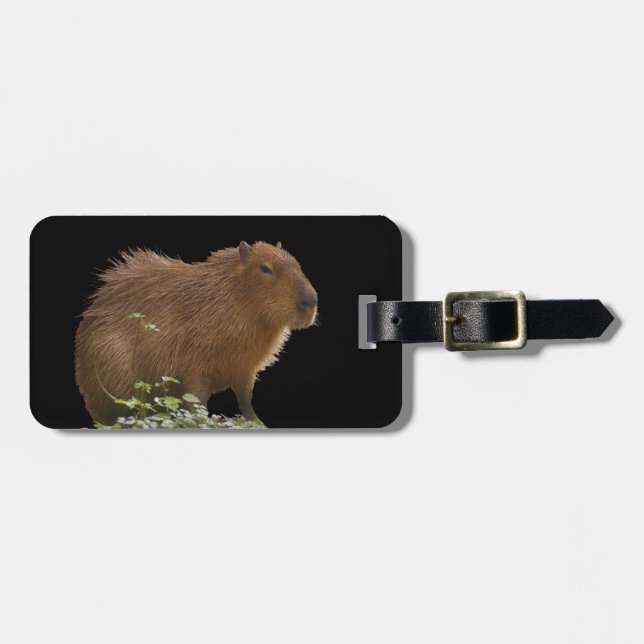 Capybara Luggage Tag (Front Horizontal)