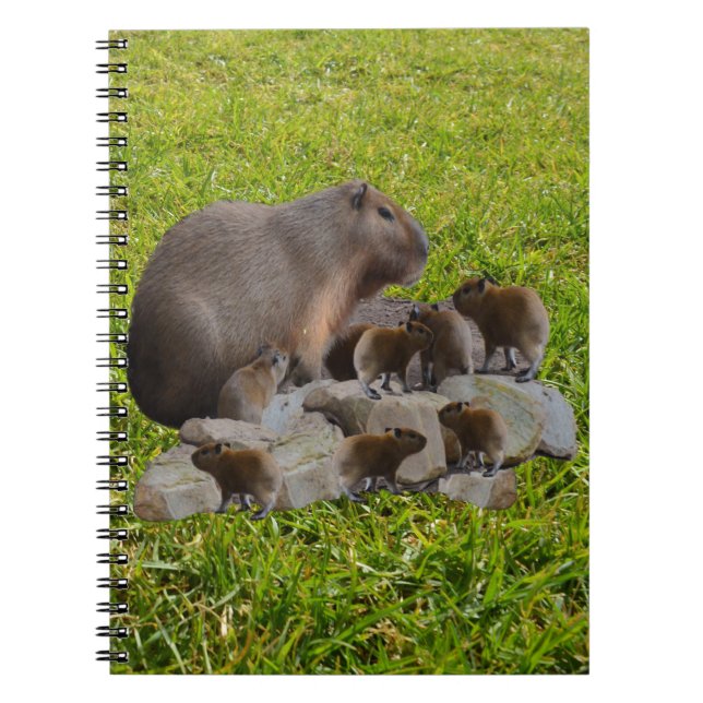 Capybara Mommy With Babies, Notebook (Front)