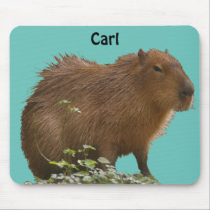 Capybara Mouse Pad