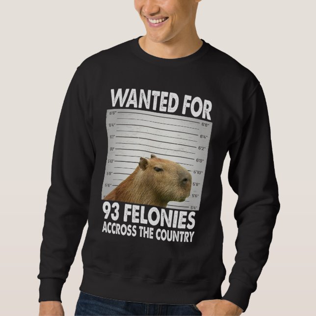 Capybara Mugshot Wanted For 93 Felonies Across The Sweatshirt (Front)