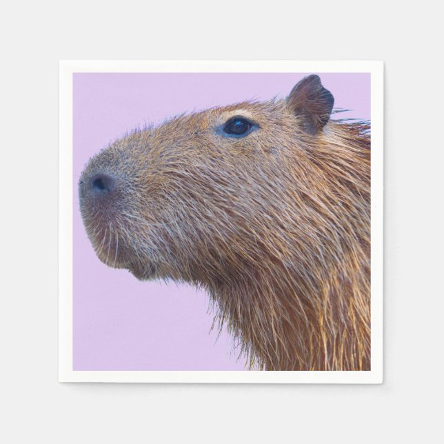 Capybara Napkin (Front)
