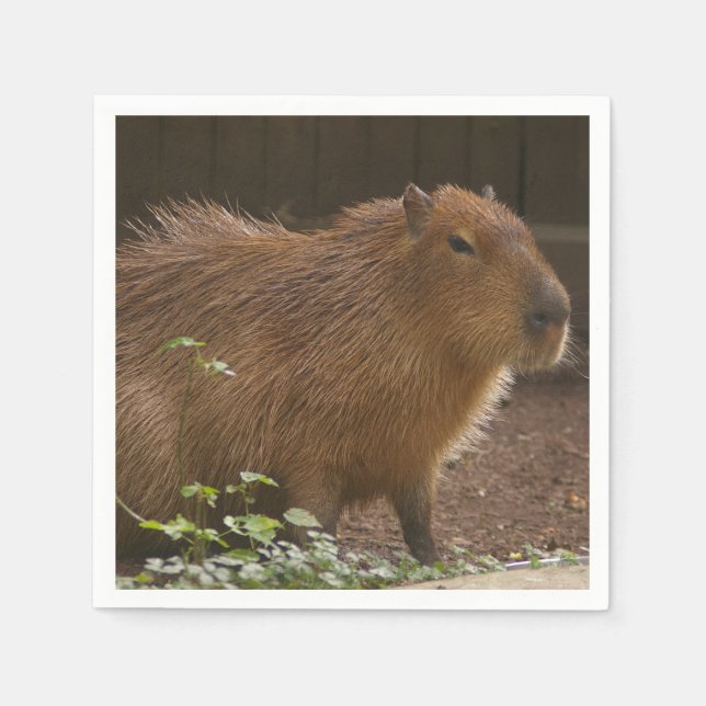 Capybara Napkin (Front)