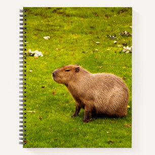 Capybara Notebook