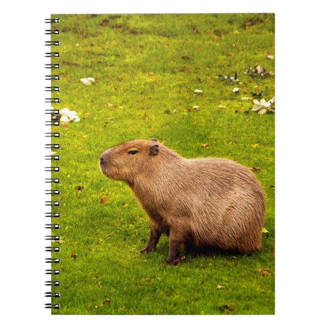 Capybara Notebook (Front)