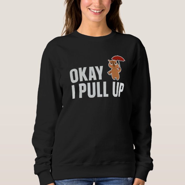Capybara Ok I Pull Up  Capybara Sweatshirt (Front)