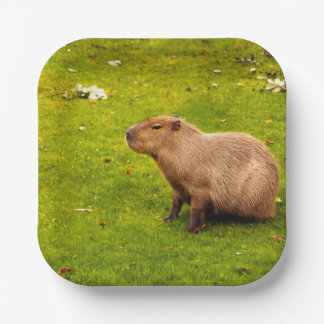 Capybara Paper Plate