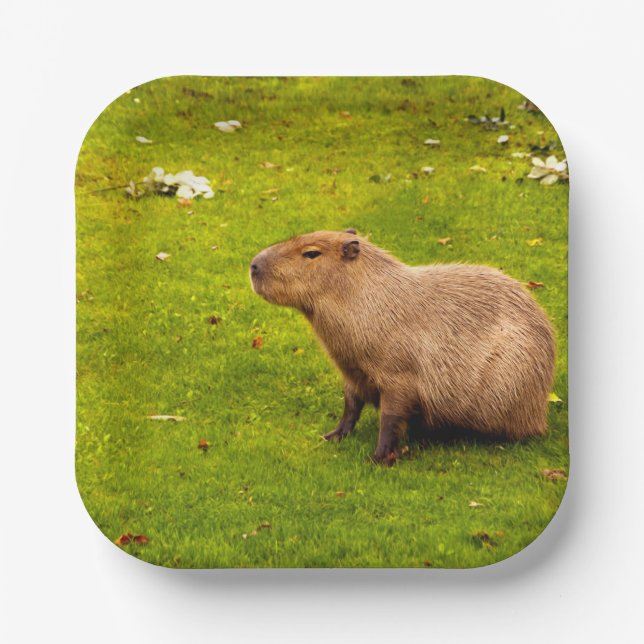 Capybara Paper Plate (Front)