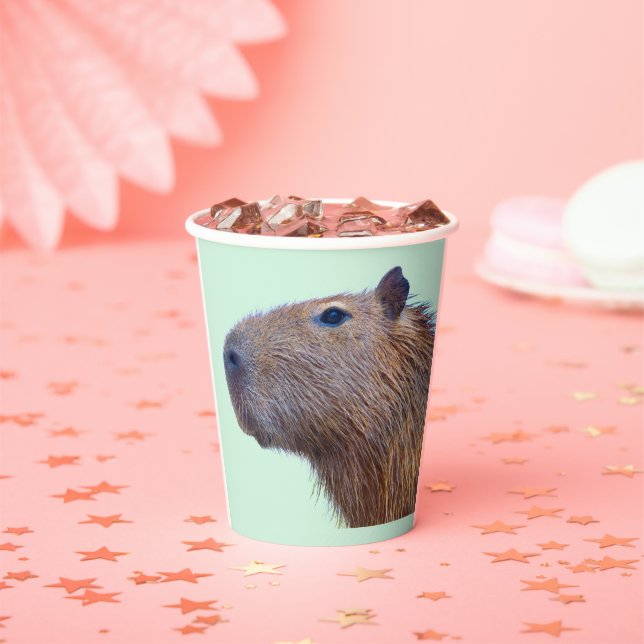 Capybara Paper Plates Cups (Insitu)