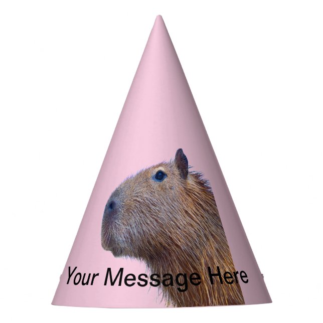Capybara Party Hat (Front)