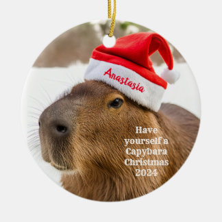 Capybara Personalised Christmas Ornament