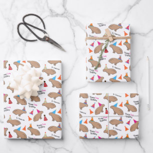 Capybara Personalized Kids Birthday White Wrapping Paper Sheet