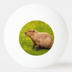 Capybara Ping Pong Ball