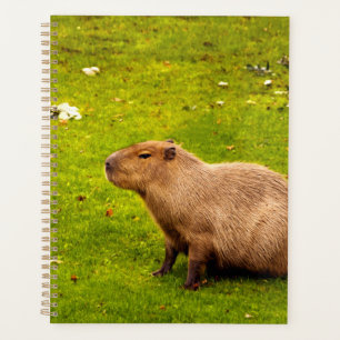 Capybara Planner