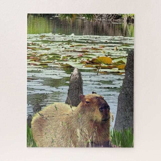 Capybara - Pneumatophores - Wildlife Jigsaw Puzzle (Vertical)