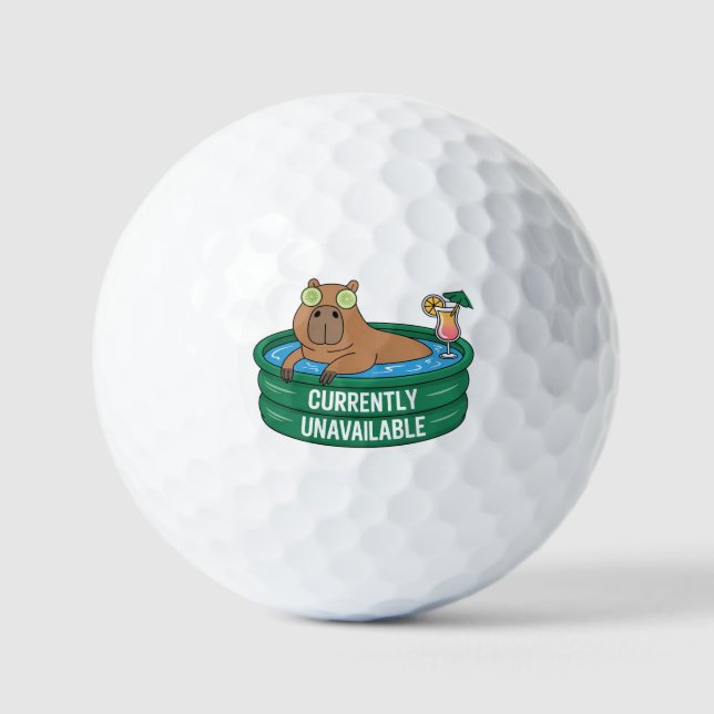 Capybara Pool Relaxation Typography Graphic Golf Balls (Front)