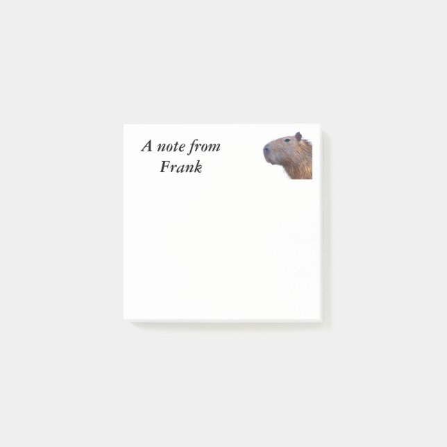 Capybara Post-it Notes (Front)
